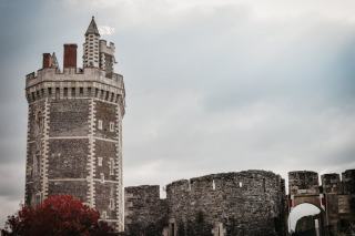 Articles de journaux forestiers en Pays de la Loire : toutes les parutions