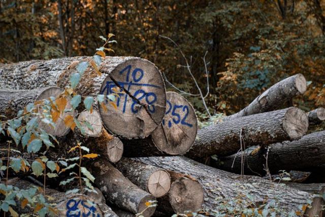 Le code des bonnes pratiques sylvicoles : s'engager vers une gestion forestière durable Le code des bonnes pratiques sylvicoles : s'engager vers une gestion forestière durable