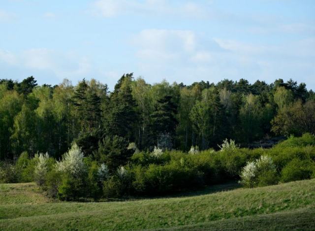 Les lisières : guide CRPF Pays de la Loire Gérer les lisières forestières pour favoriser la biodiversité