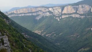 Plans de développement de massif forestier en Pays de la Loire