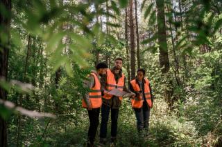 Annuaire de la filière sylvicole en Pays de la Loire : trouver un professionnel