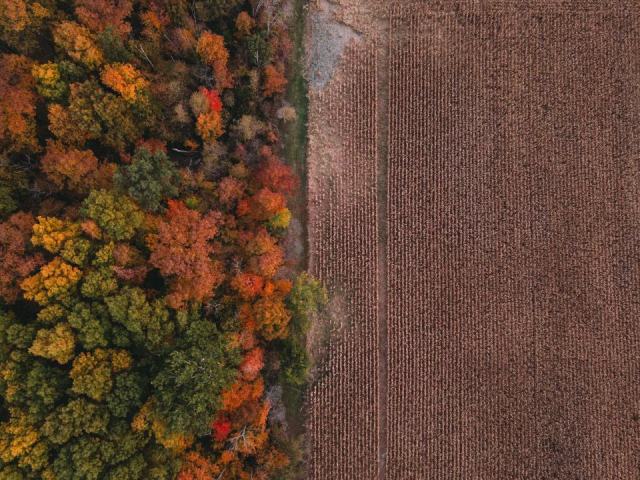 Boiser ses terres agricoles : aides disponibles et démarches à engager Boiser ses terres agricoles : aides disponibles et démarches à engager