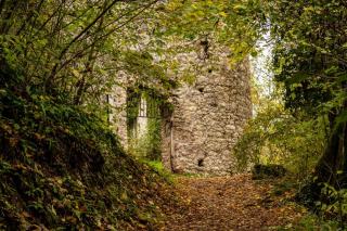 Forêt dans le périmètre d'un monument historique : réglementation