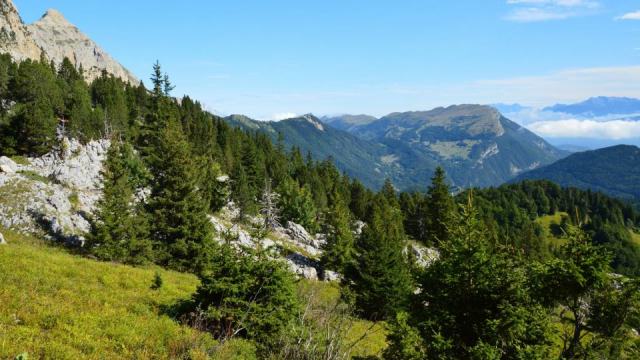 Forêt, falaises et escalade : concilier accueil du public et gestion Forêt, falaises et escalade : concilier accueil du public et gestion