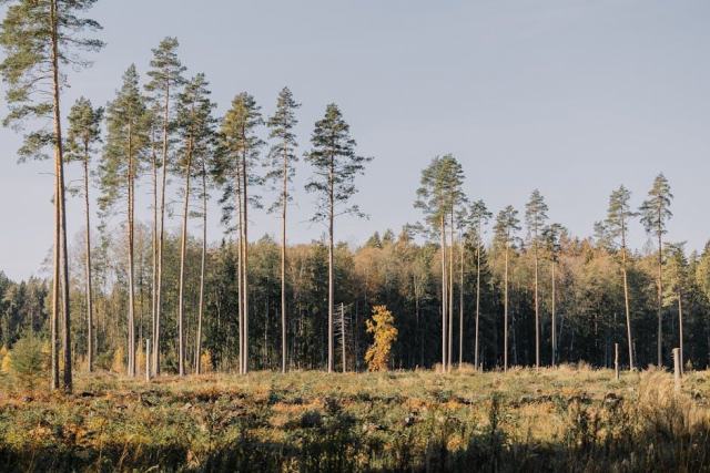 Étang du Gué de Selle, site classé SC-14 : patrimoine naturel protégé