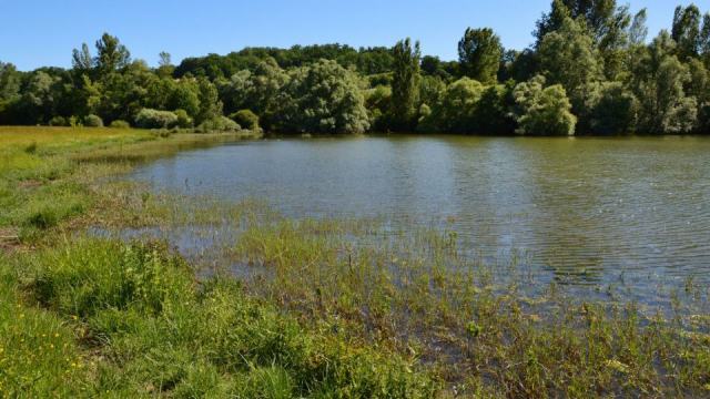 Étang du Gué de Selle, site classé SC-14 : patrimoine naturel protégé