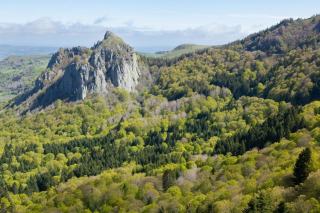 La corniche angevine : paysage protégé et gestion forestière en Maine-et-Loire