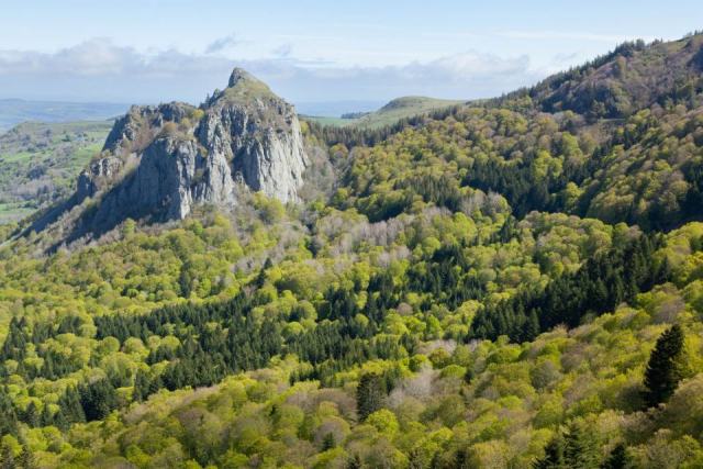 La corniche angevine : gérer ses forêts dans un paysage classé de la Loire