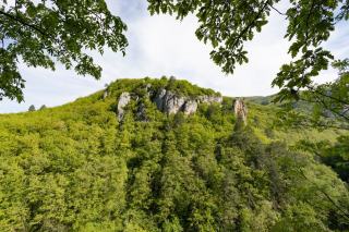 Cirque de Courossé : site classé et gestion forestière en Maine-et-Loire
