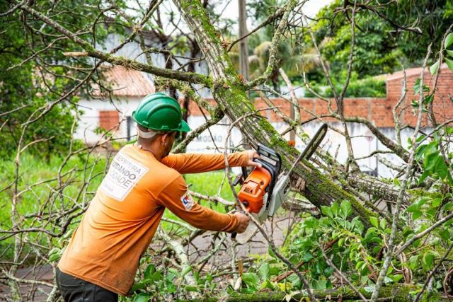 Forêts dans la vallée de l'Erdre : enjeux paysagers et réglementaires