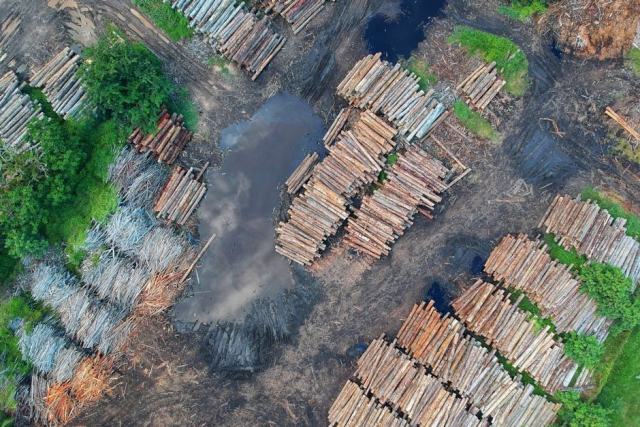 Gérer sa forêt sur la Côte des Choux : un site naturel inscrit de Loire-Atlantique