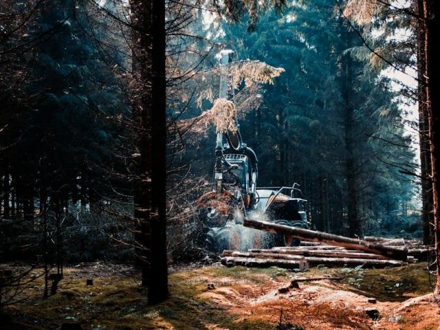 Site inscrit SI-27 en Maine-et-Loire : protection paysagère et gestion forestière