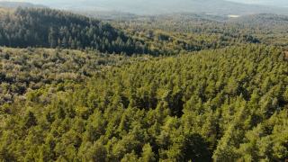 Site inscrit SI-27 en Maine-et-Loire : paysage protégé par la DREAL