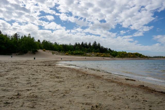La Dune du Veillon : gérer les boisements dans un site littoral protégé de Vendée