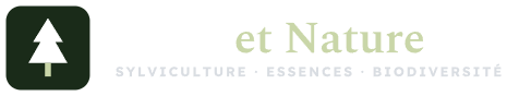 Forêt et Nature
