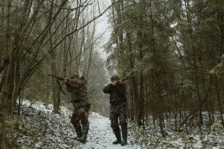 Bail de chasse en forêt, louer ou garder son droit de chasse ?