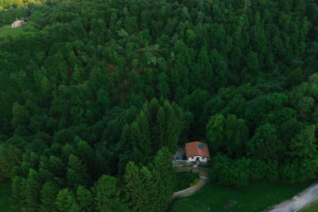 Peuplement renversé par une tempête en forêt privée Futaie de chênes couchée par le vent après une tempête