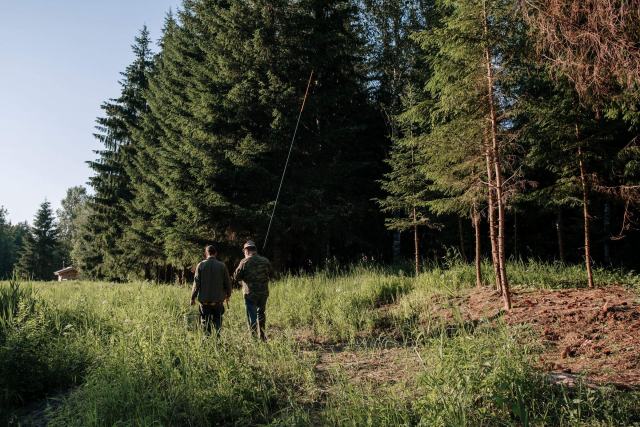 Reboisement d'une parcelle forestière privée Parcelle de feuillus en cours de reboisement en Pays de la Loire