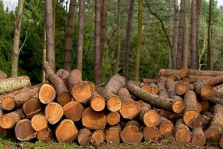 La garantie de gestion durable : une notion fiscale précise