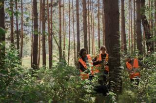 Forêt en indivision : qui décide et comment sortir du blocage