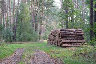Cartographier et suivre sa forêt avec un outil en ligne