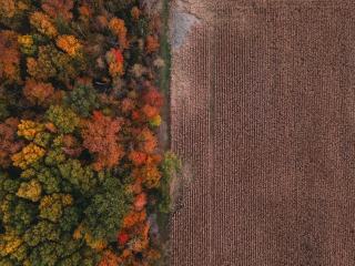 Boiser une terre agricole : démarches, coûts et précautions
