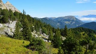 Accueil du public en forêt privée : droits et responsabilités
