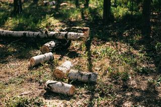 Que change la charte Natura 2000 pour un bois privé ?